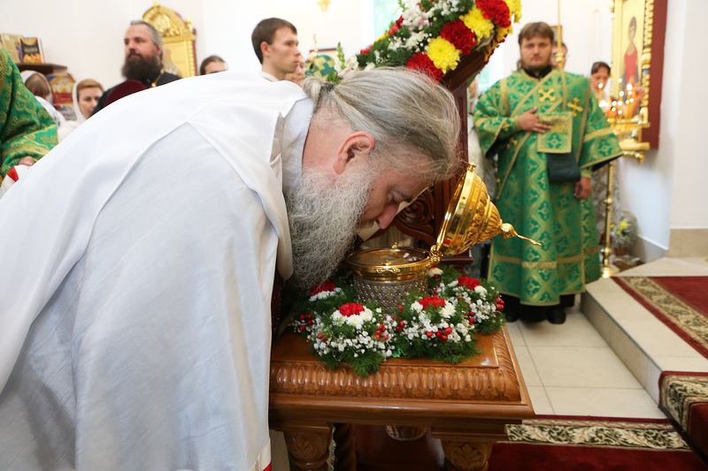Раненый Ахилес в Ахилионе