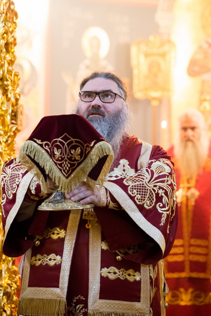 Саратов. Божественная Литургия в Свято-Троицком соборе. Октябрь 2017 года