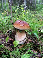 Фото Ю. Ракиной