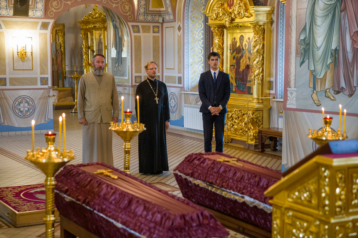 Ливанский кедр Ливанский кедр