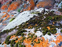 Фото Ю. Ракиной. Кликнуть для увеличения