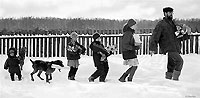 Фотоработы Олега Шуркуса