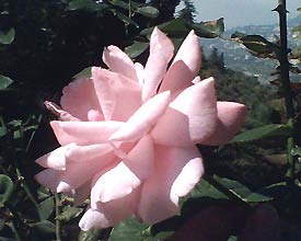 image046_1.jpg image046_1.jpg