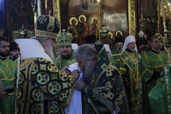 Возведение в сан митрополита. 2011 год