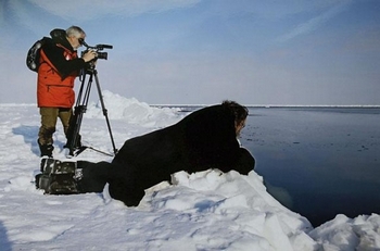 Паломничество на Соловки. На дрейфующей льдине в Белом море, 2008 год. Фото из личного архива протодиакона Андрея Кураева Паломничество на Соловки. На дрейфующей льдине в Белом море, 2008 год. Фото из личного архива протодиакона Андрея Кураева