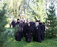 Кедровник в Толгском монастыре
