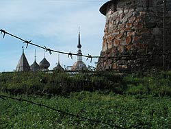 Фото Ю. Ракиной