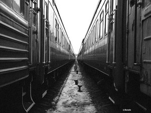 www.photosight.ru