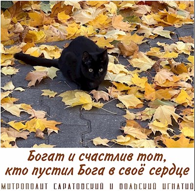 Октябрь 2024