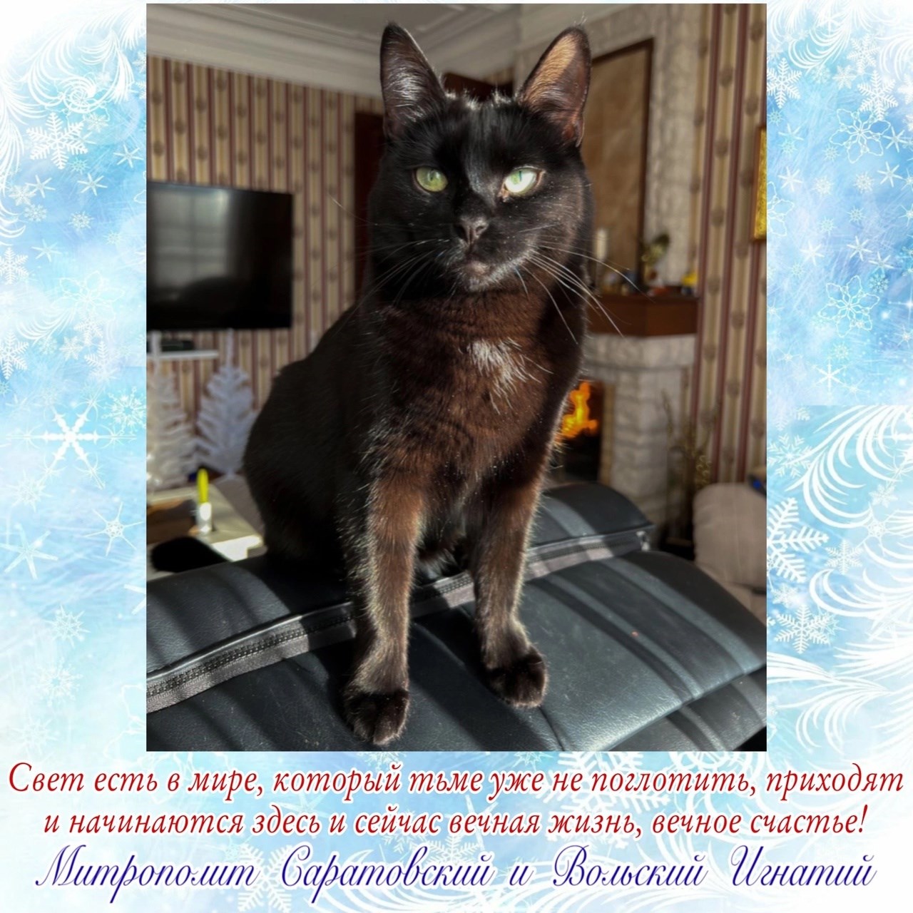 Февраль 2024