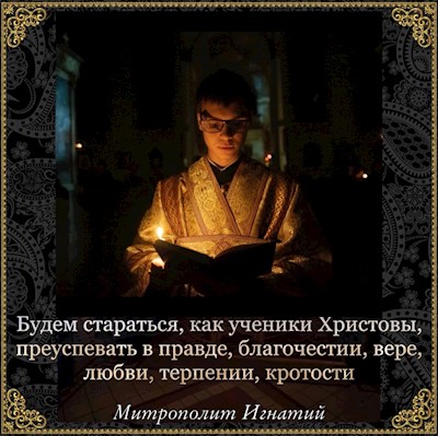 Ноябрь 2023