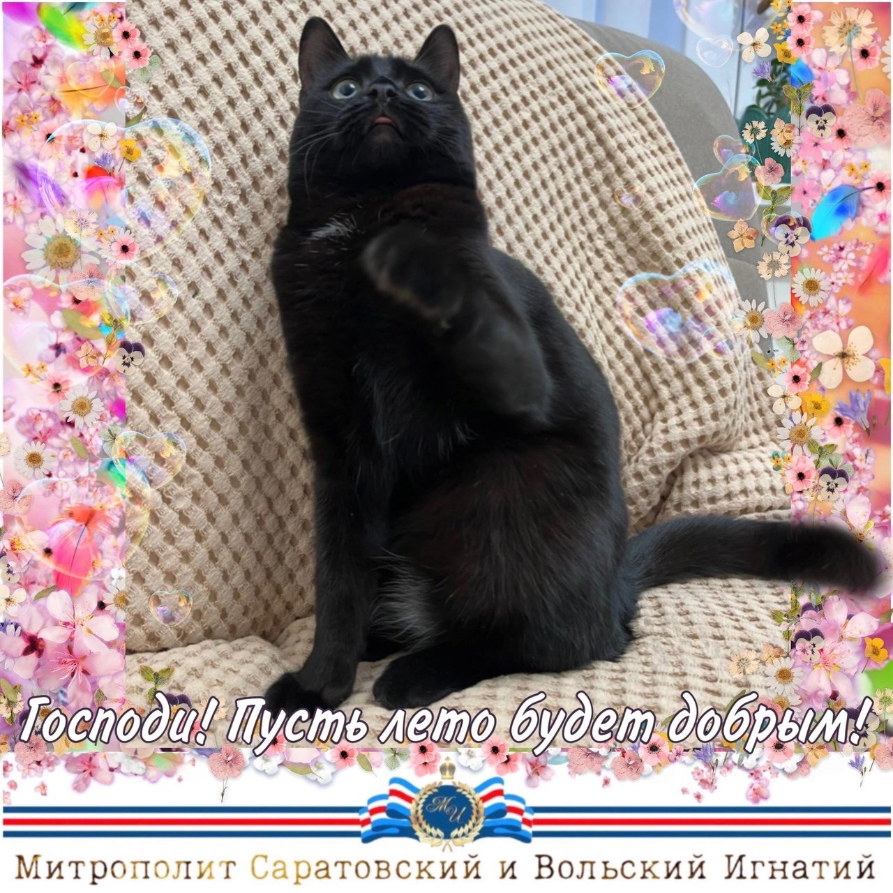 Май 2023
