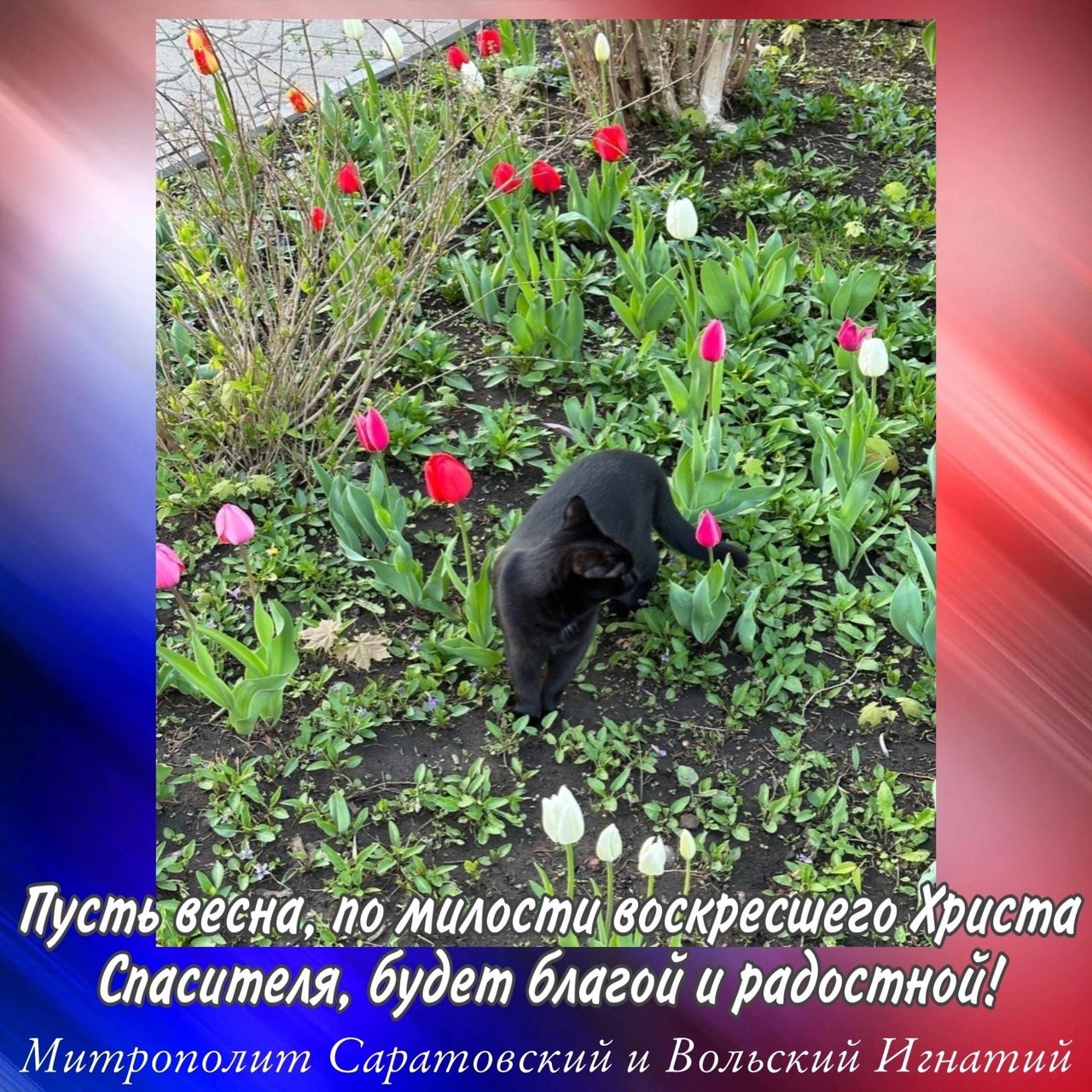 Апрель 2023