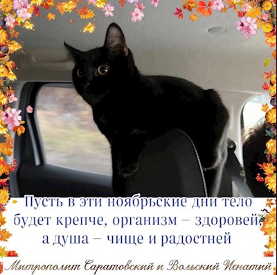 Ноябрь 2022