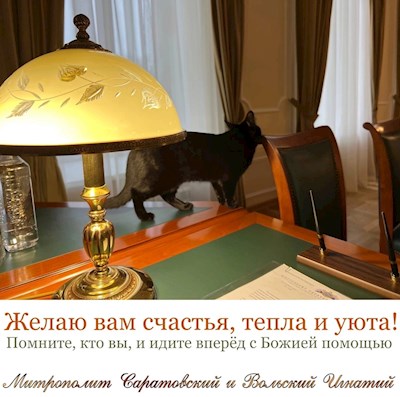 Ноябрь 2022