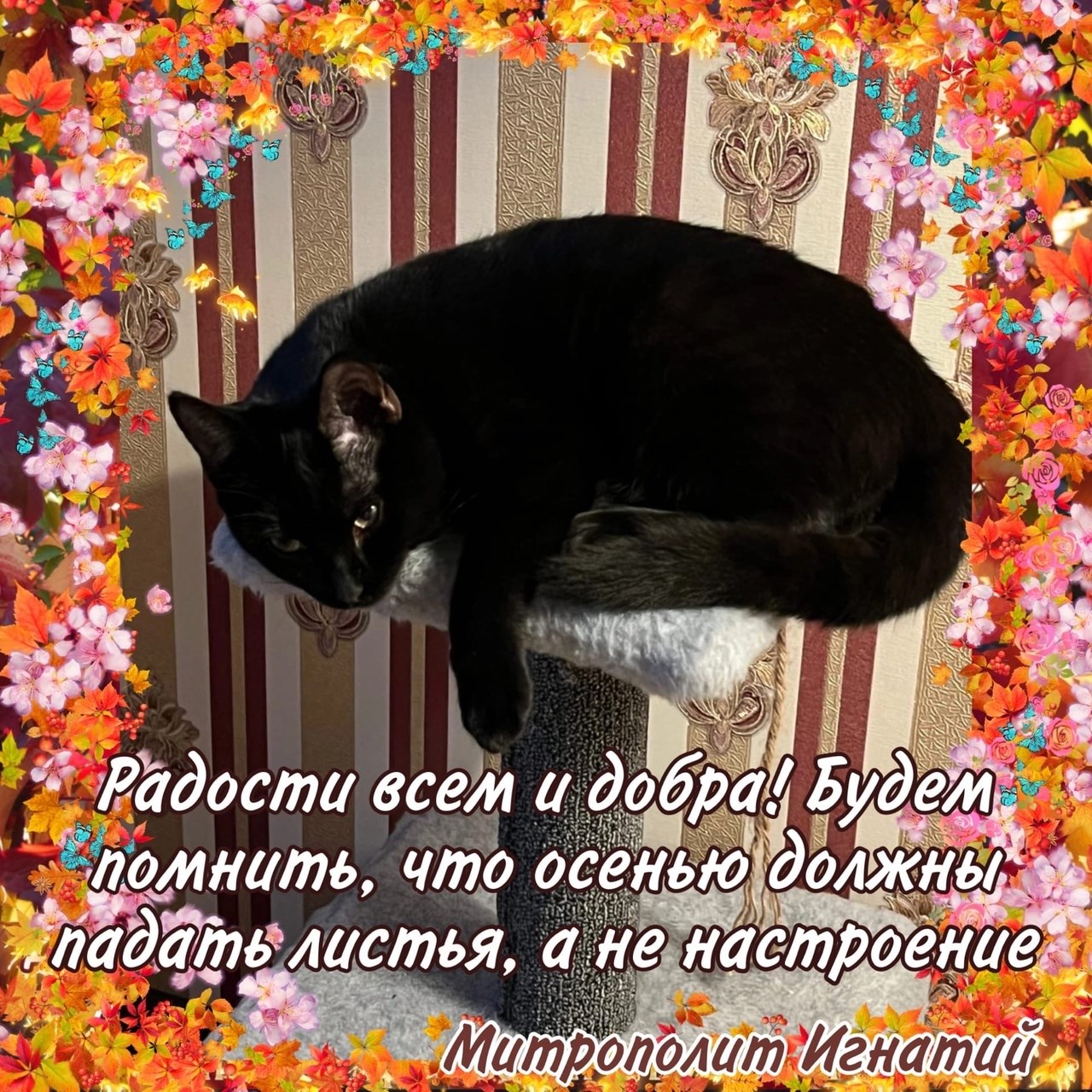 Октябрь 2022