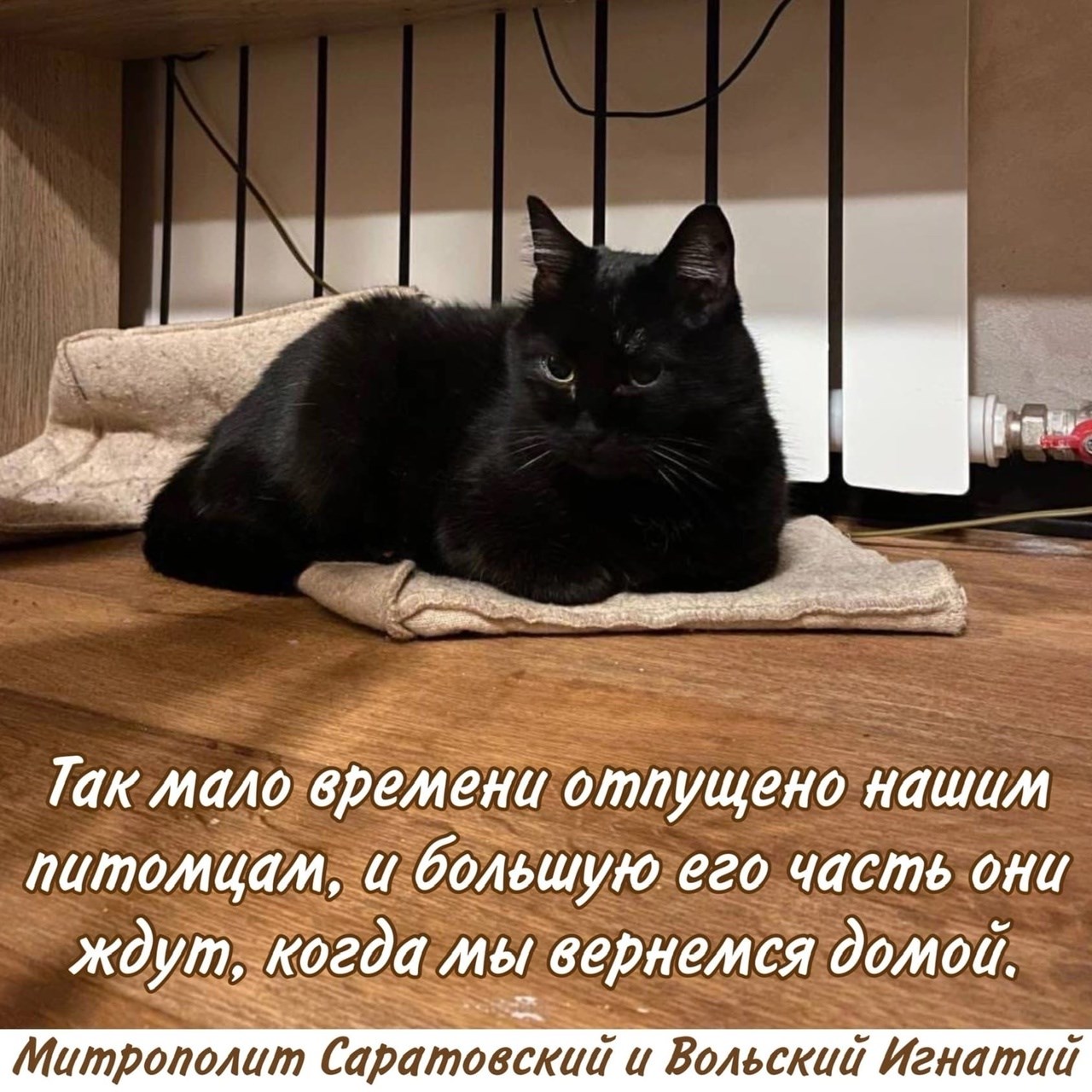 Июнь 2022