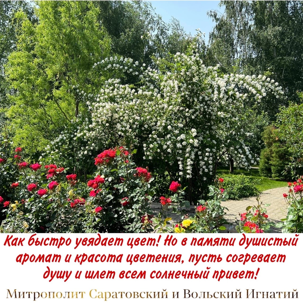 Июнь 2022