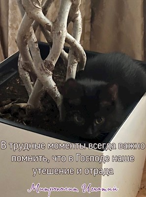 Июнь 2022