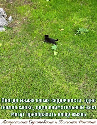 Май 2022