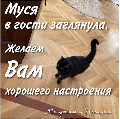 Январь 2022