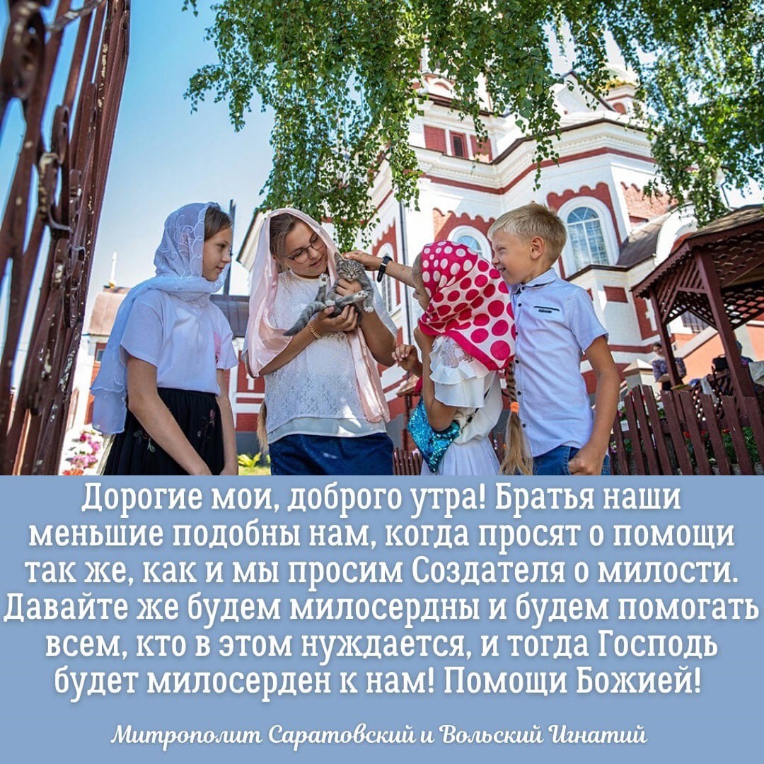 ОТКРЫТКИ 2021