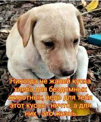 ОТКРЫТКИ 2021