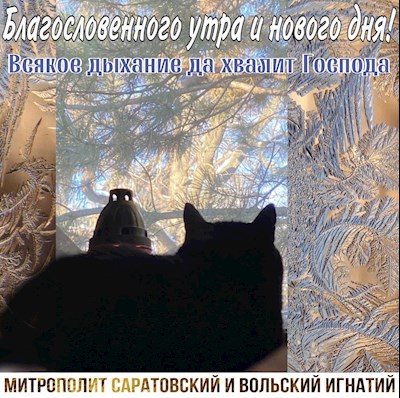 ОТКРЫТКИ 2021