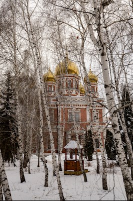 Митрополит Игнатий совершил всенощное бдение в Покровском соборе г. Саратова