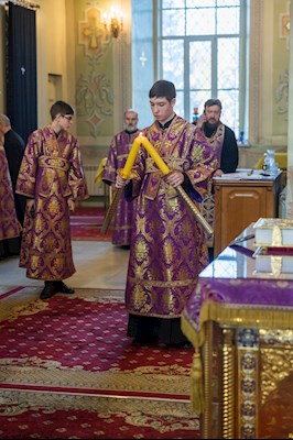 Митрополит Игнатий совершил всенощное бдение в Покровском соборе г. Саратова
