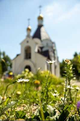 Митрополит Игнатий посетил торжественное мероприятие по случаю Дня ветеранов боевых действий