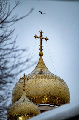 Митрополит Игнатий совершил Божественную литургию и молебен на новый год в Покровском соборе г. Саратова