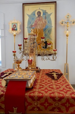 Встреча ковчега с мощами мученицы Татианы