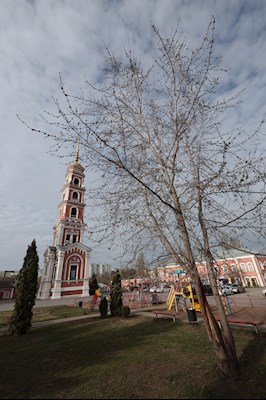 Митрополит Игнатий совершил Божественную литургию в Покровском соборе г. Саратова