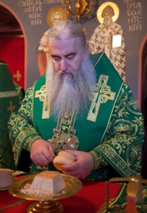 Божественная литургия в Свято-Троицком кафедральном соборе г.Саратова