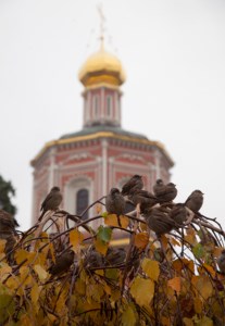 Всенощное бдение в Свято-Троицком кафедральном соборе г.Саратова