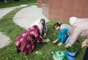Божественная литургия в храме во имя святителя Луки (Войно-Ясенецкого), исповедника, при 3-й городской клинической больнице г. Саратова