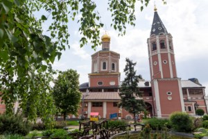 В Саратове встретили икону «Избавительница от бед»