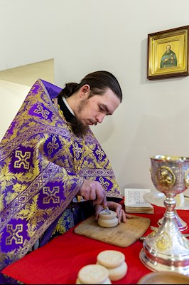 Божественная литургия в храме в честь иконы Божией Матери «Всех скорбящих Радость» г. Саратова