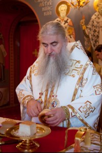 Божественная литургия в Свято-Троицком кафедральном соборе г. Саратова