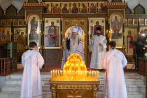 Панихида в храме в честь иконы Божией Матери "Утоли моя печали" г. Саратова