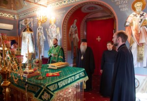 Божественная литургия в Свято-Троицком кафедральном соборе г. Саратова