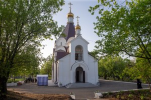 Божественная литургия в храме святого благоверного князя Александра Невского г. Саратова