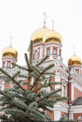Митрополит Игнатий совершил всенощное бдение в храме Покрова Пресвятой Богородицы г. Саратова