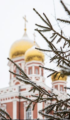 Митрополит Игнатий совершил Великую рождественскую вечерню