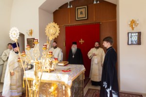 Божественная литургия на Архиерейском подворье — в храме в честь иконы Божией Матери «Утоли моя печали» г. Саратова