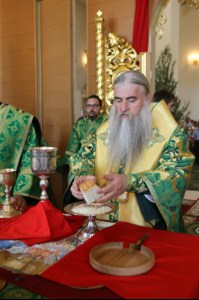 Божественная литургия и Великая вечерня в Свято-Троицком соборе Вольска