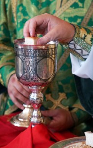 Божественная литургия и Великая вечерня в Свято-Троицком соборе Вольска