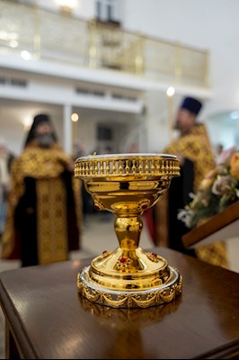 Встреча ковчега с мощами мученицы Татианы