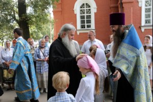Архипастырская поездка в Петровский район